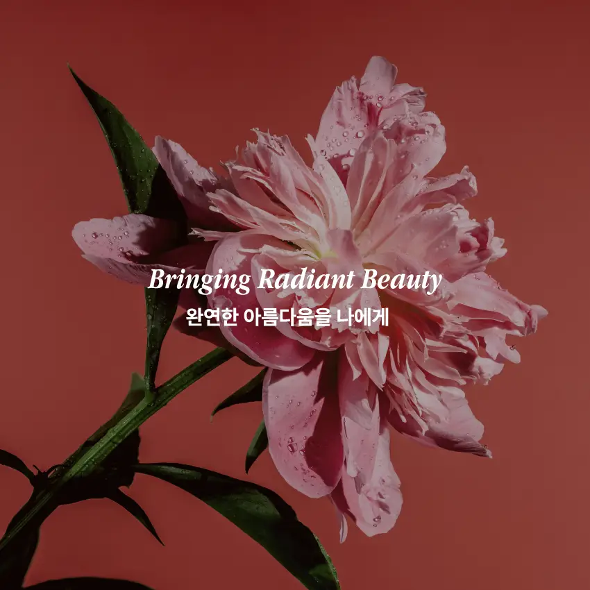 Bringing Radiant Beauty, OHMIA
